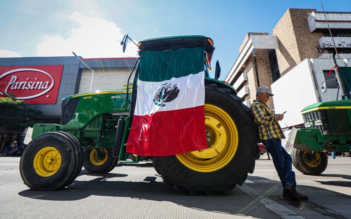Road Blockades in Mexico Due to Agricultural Workers' Protests