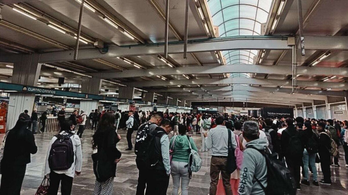 Problems in the Collective Transportation System