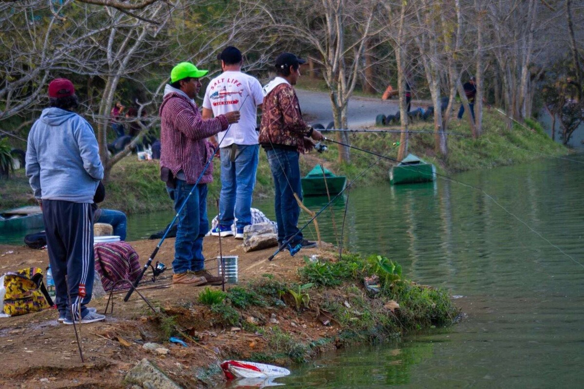 墨西哥的家庭水污染