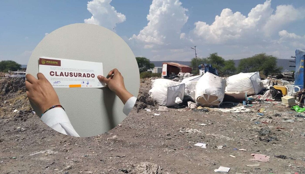 Realizan 133 inspecciones ambientales en Jalisco