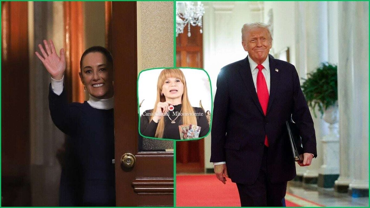 Шейнбаум и Трамп встретятся по вопросам торговли и иммиграции