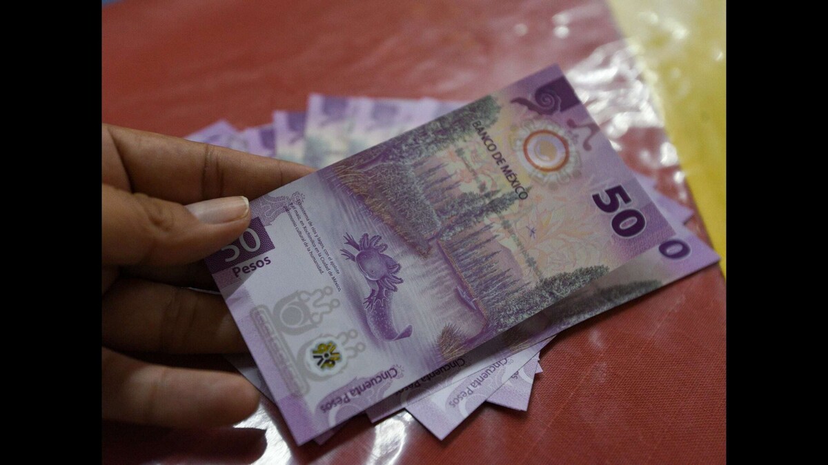 Aumento del salario mínimo en México: ¿freno para la economía?