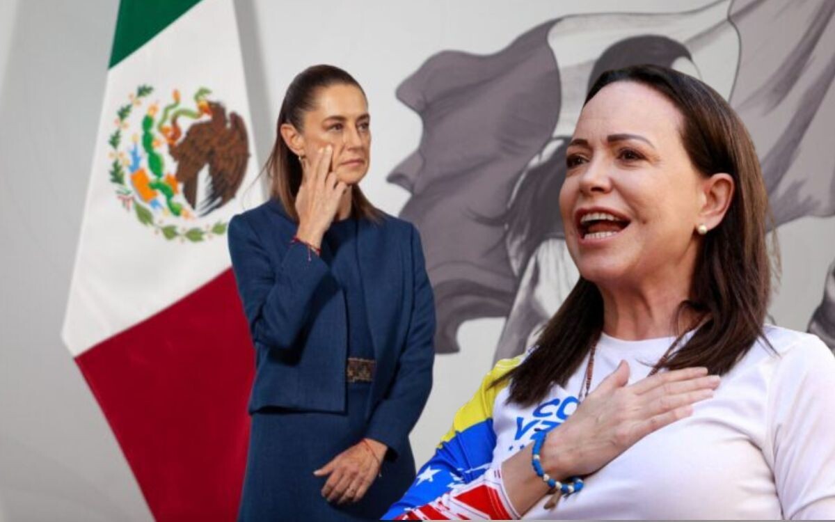 Sheinbaum: There are other political considerations besides gender