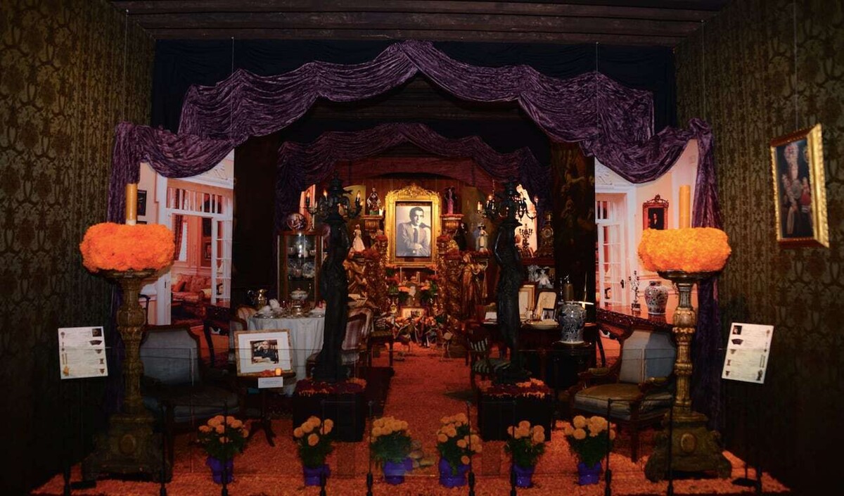 Celebrating 14 Years of Tradition in San Ángel