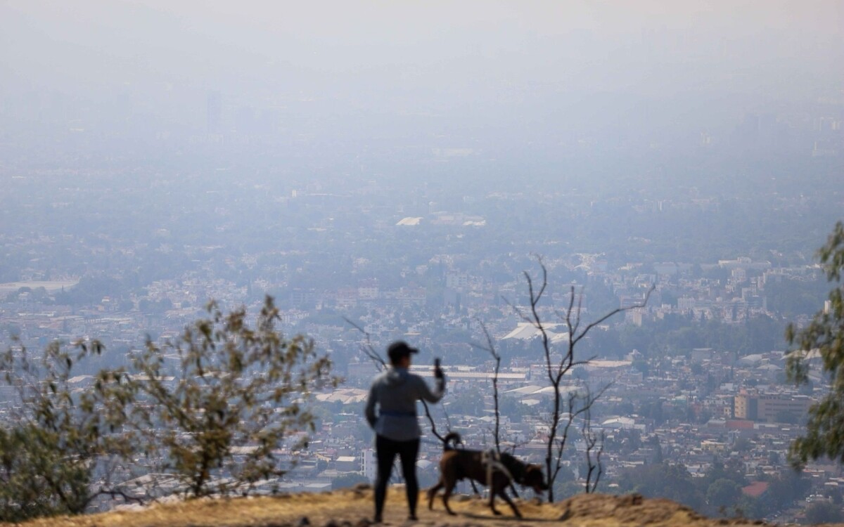 Мехико отменил экологический режим из-за озона