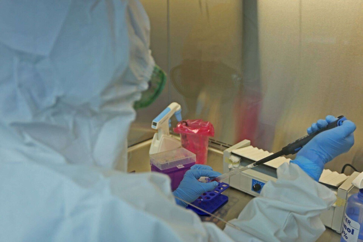 Mexico: A Strategic Market for Bayer