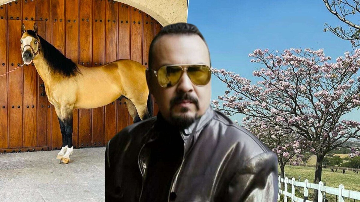 Pepe Aguilar Clarifies Ranch Sale Rumors