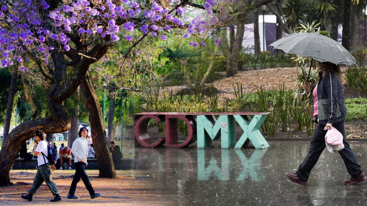 第43号冷锋逼近墨西哥：天气预报