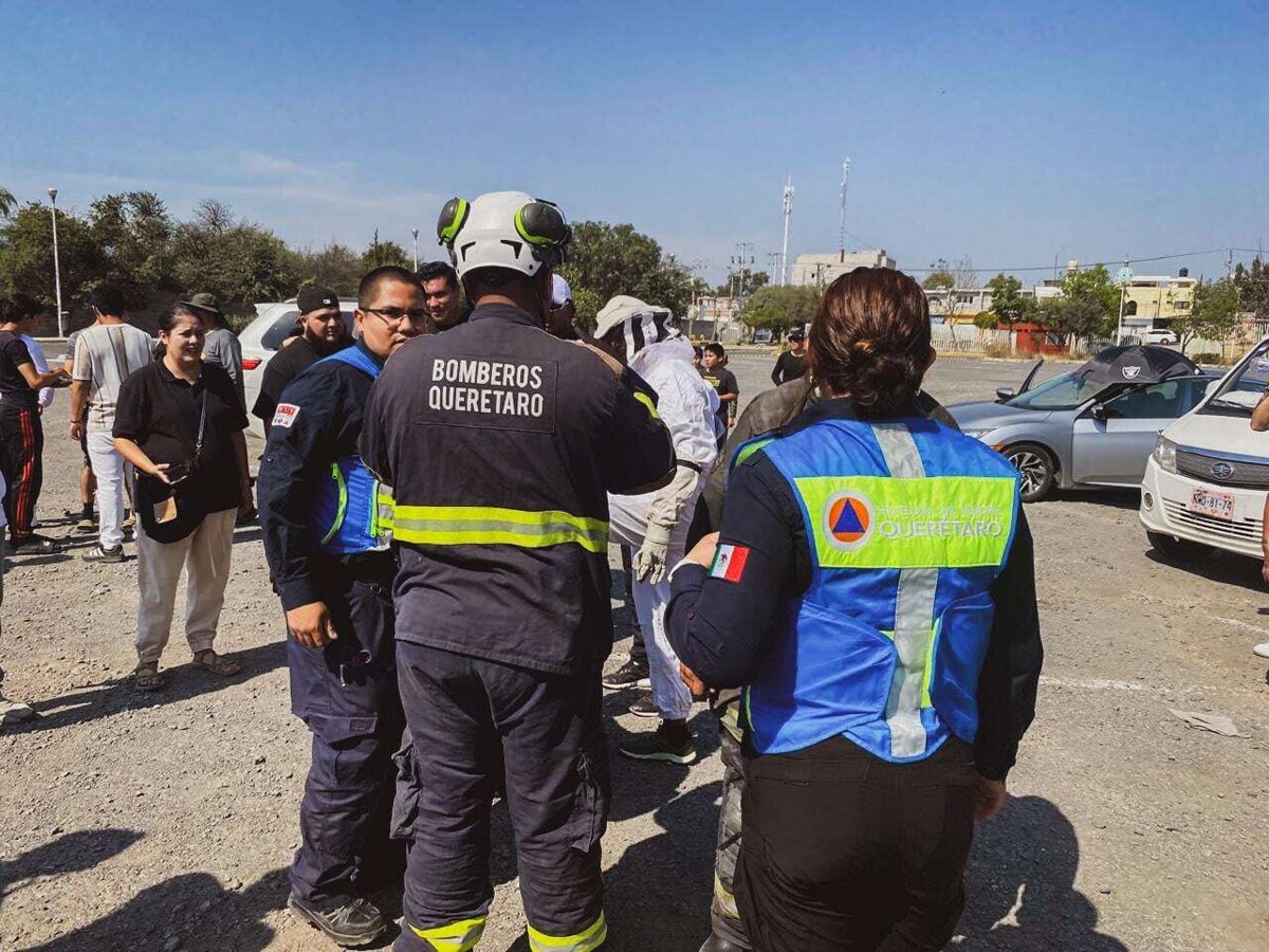 Emergency Response to Bee Stings at Football Field