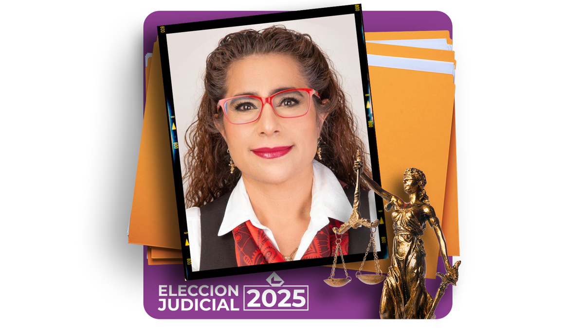 Irma Guadalupe García Mendoza: Candidacy for Supreme Court