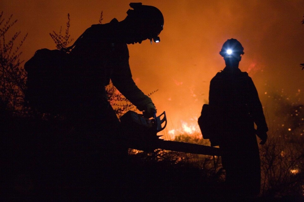 Reforestation Plan in Querétaro due to Drought