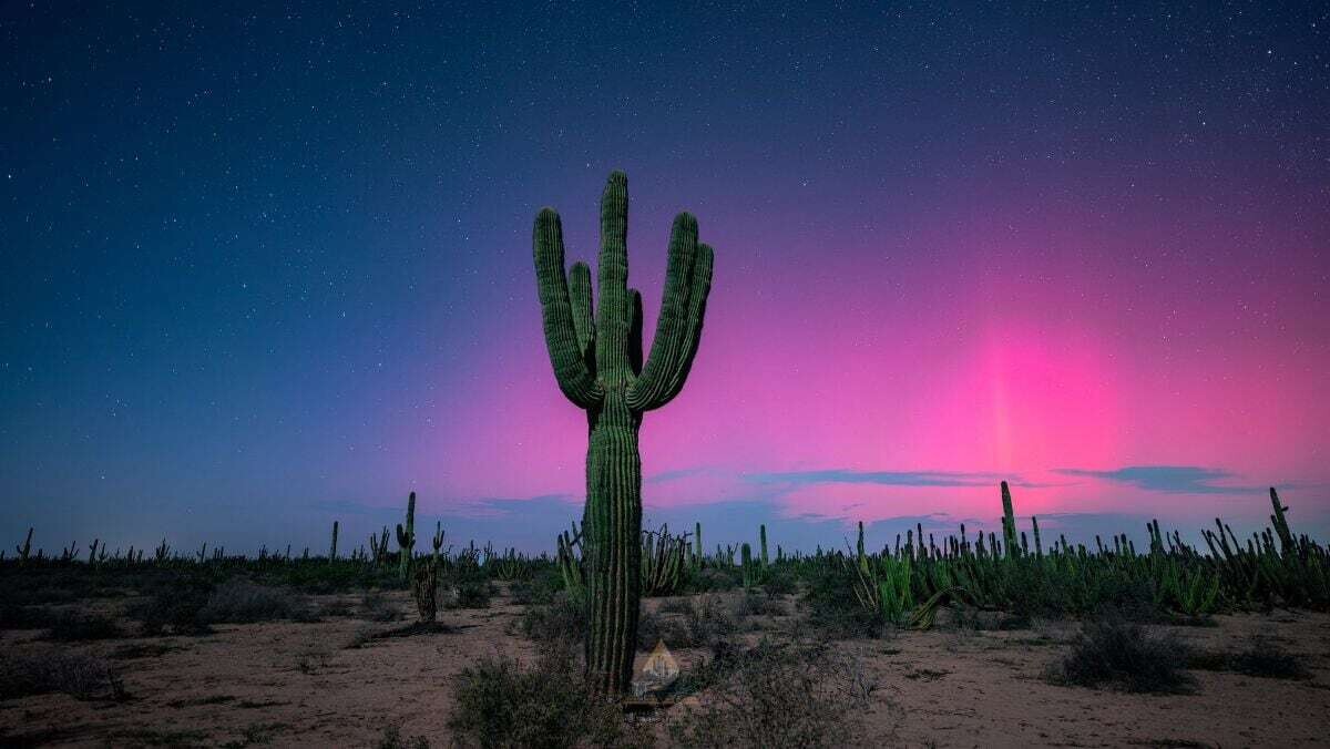 Северные сияния illuminan el cielo de Сонора