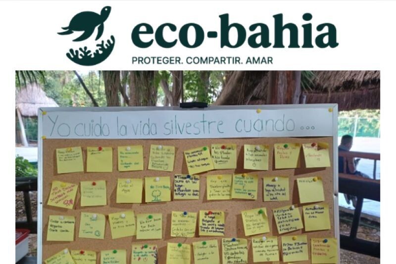 Fundación Eco-Bahía México Highlights Value of Native Flora on World Wildlife Day