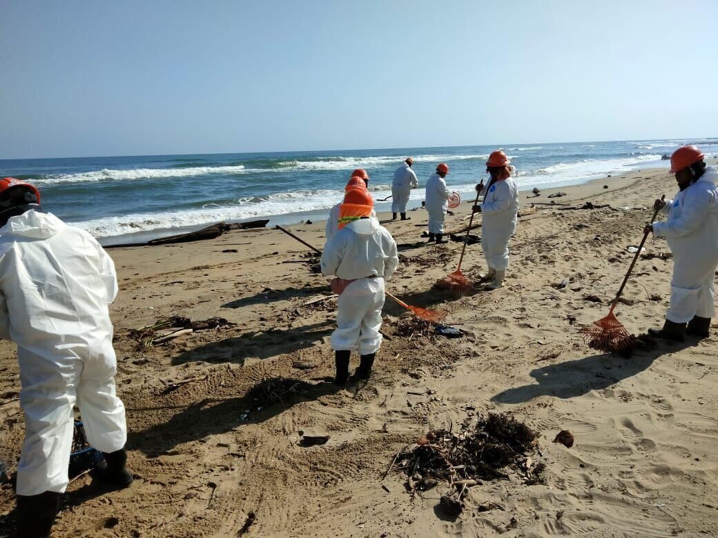 Gulf of Mexico Coast Cleanup Operation