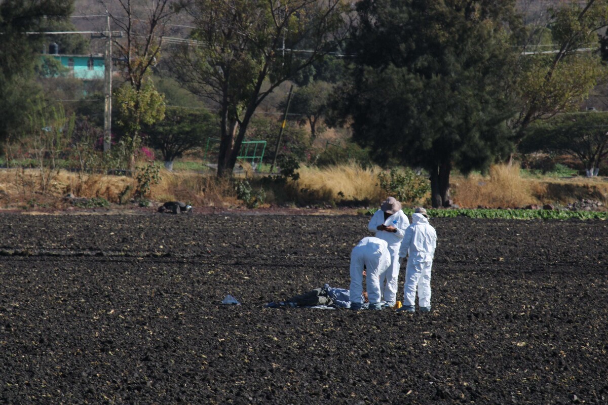20 Bodies Found in Clandestine Graves in Mexico