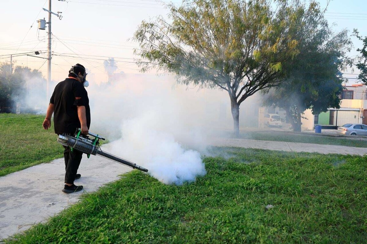 Guadalupe Municipality Launches Operation Against Dengue