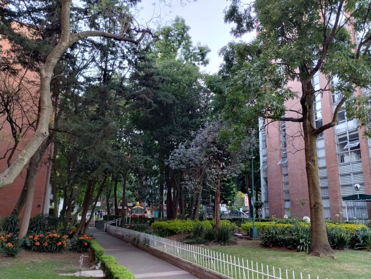 墨西哥公寓管理人员的专业化是关键