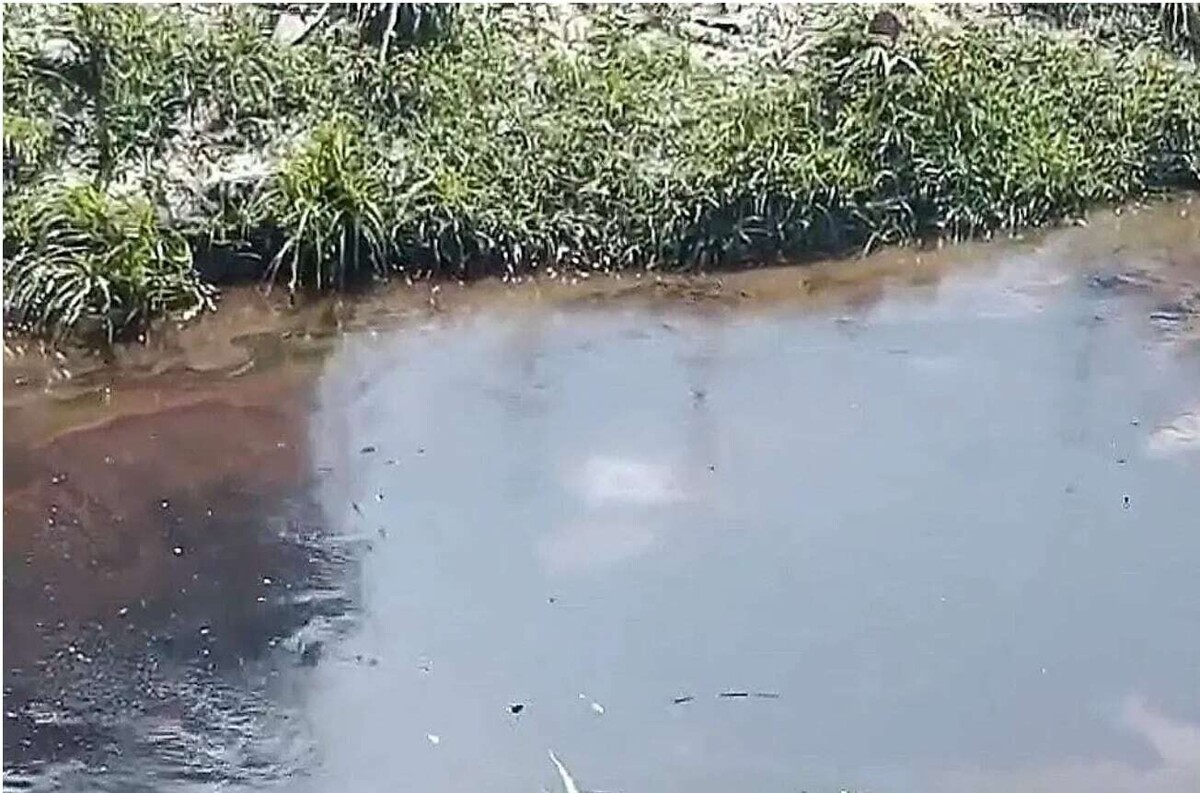 Lluvias intensas en Poza Rica provocan derrame de petróleo