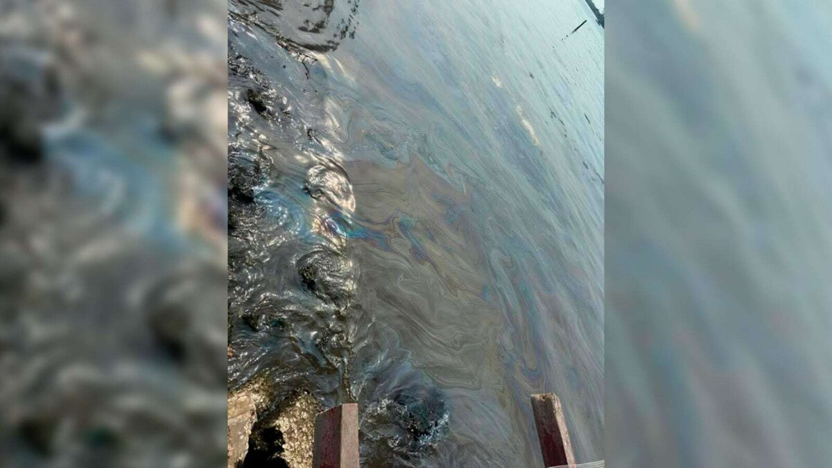 Environmental Crisis in Paraíso, Tabasco