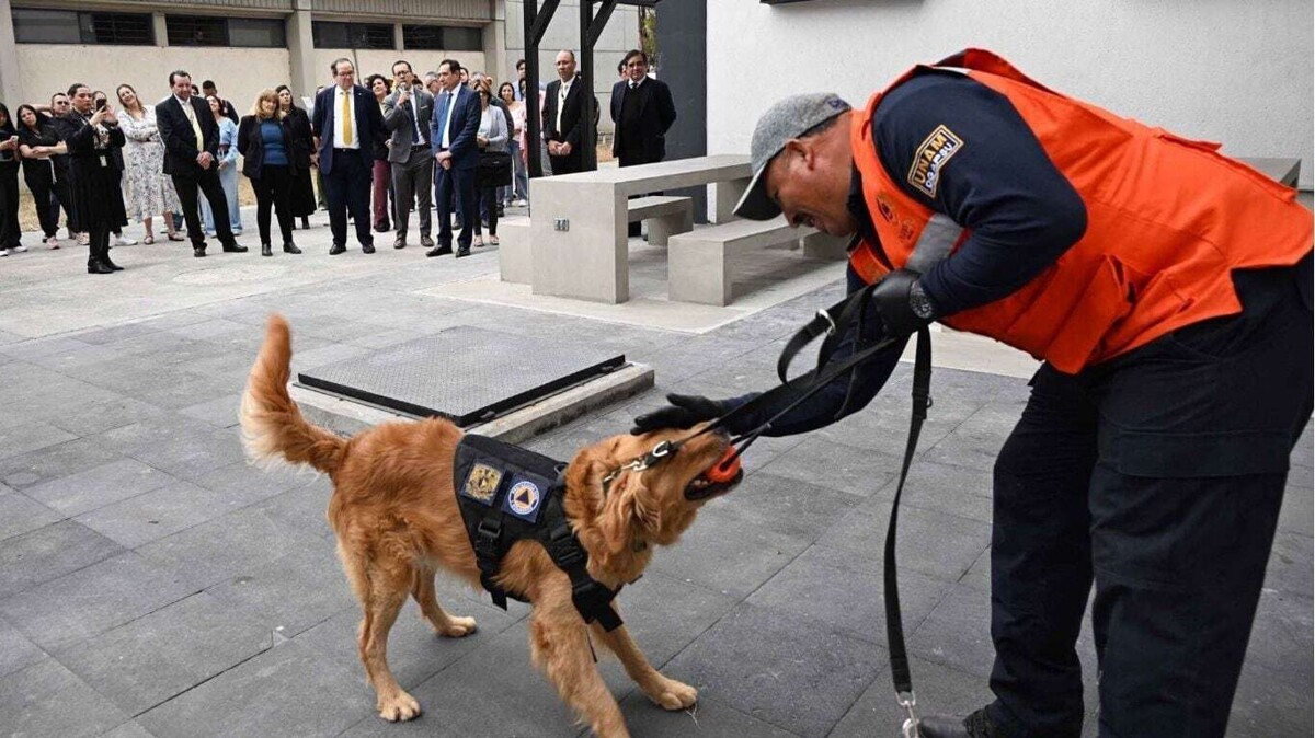 FES Iztacala Evacuated Due to Explosive Threat