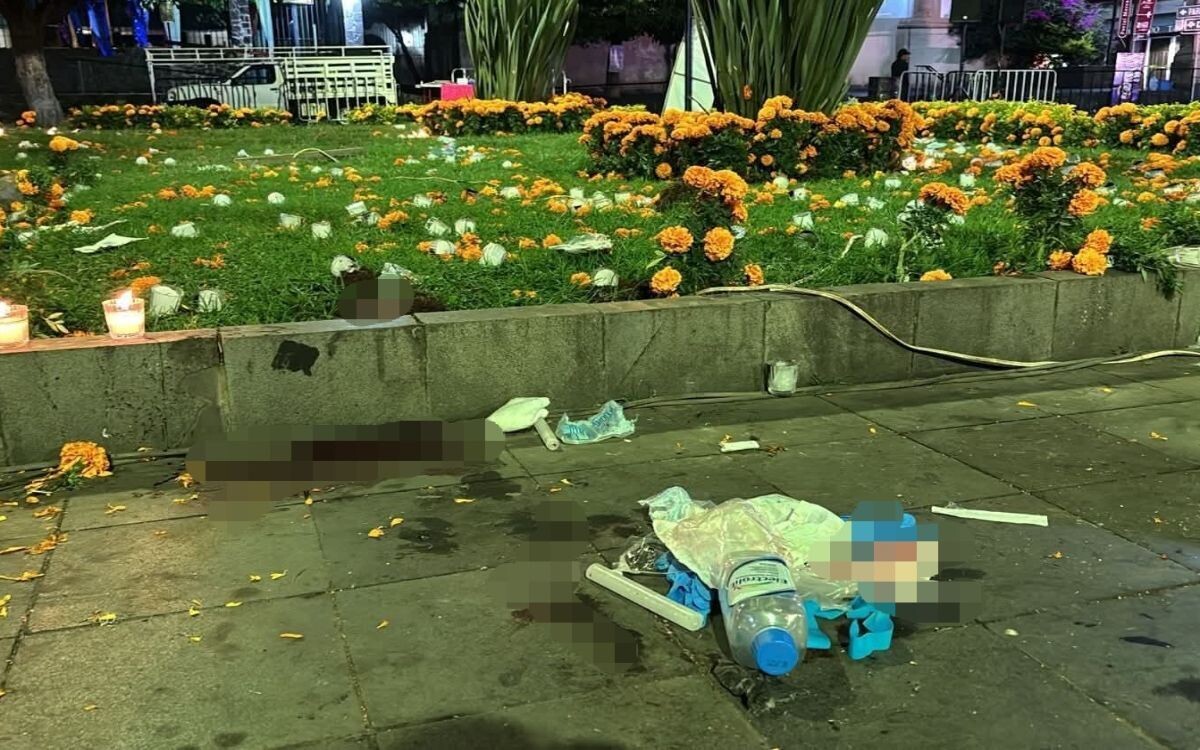 Mexican Association calls for mental health policy to pacify the country