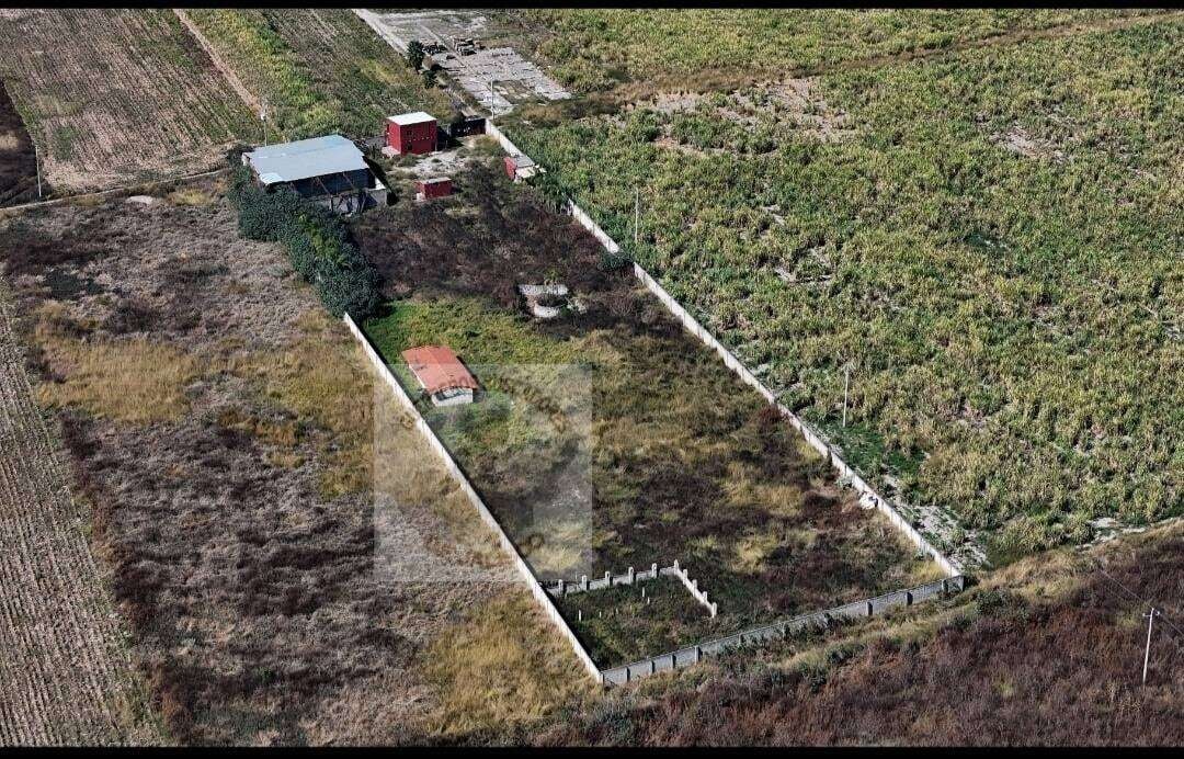 Nuevos hallazgos en el rancho de Jalisco