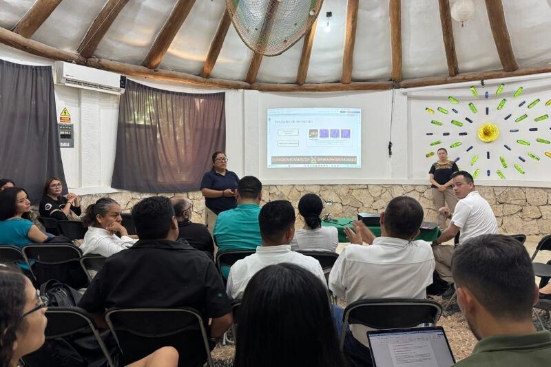 Фонд Eco-Bahía: Более 148 тысяч черепах выпущено в 2025 году