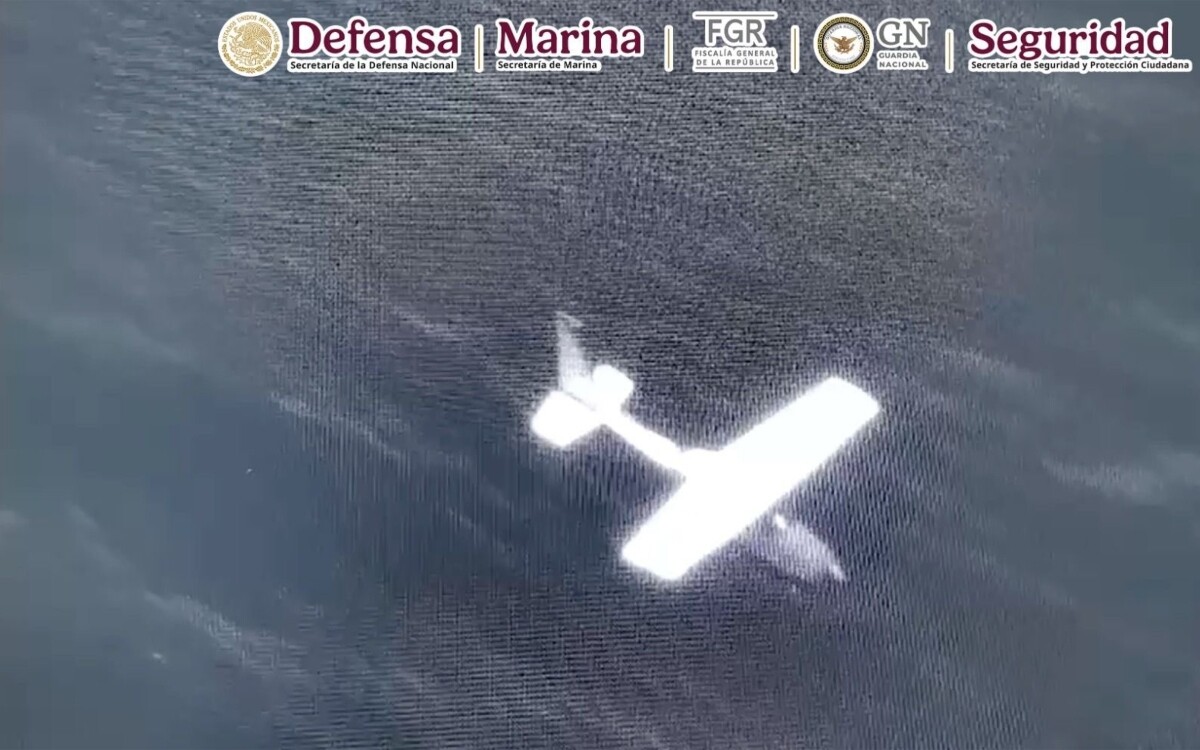 Mexican Armed Forces Seize Cocaine Plane in Oaxaca