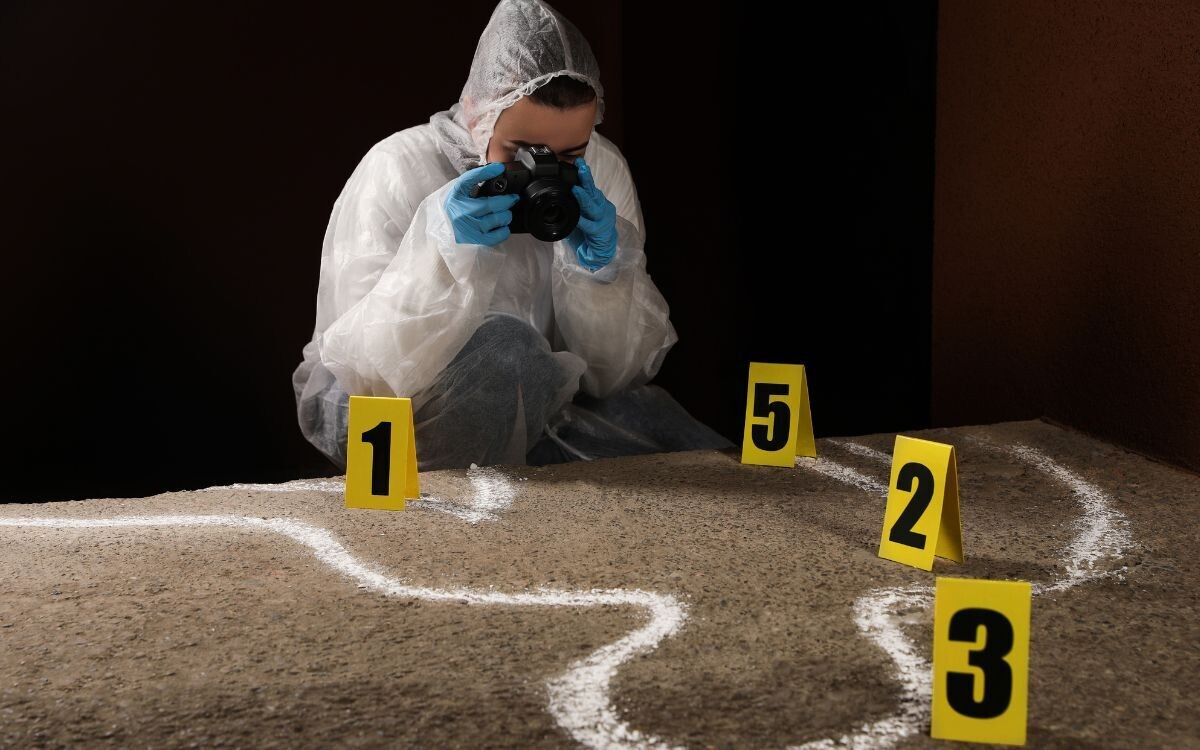 Homicides in Mexico Fall by 37% in First Year of Sheinbaum's Presidency