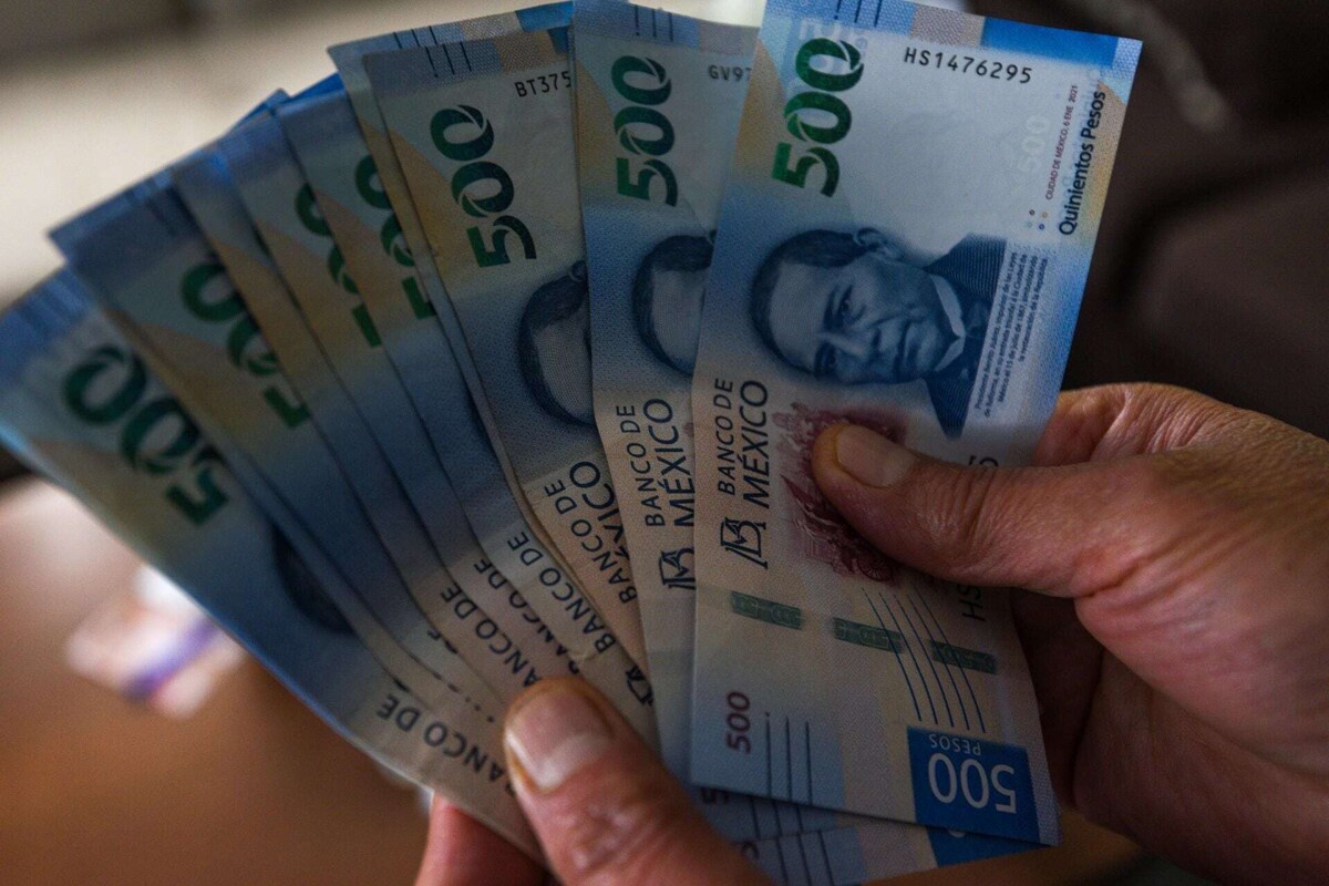 Budget 2025 Allocates Massive Funds for Pensions
