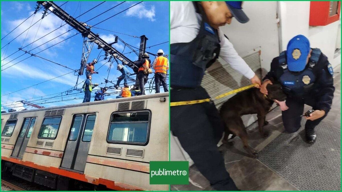 CDMX Metro Rescues Dog on the Tracks