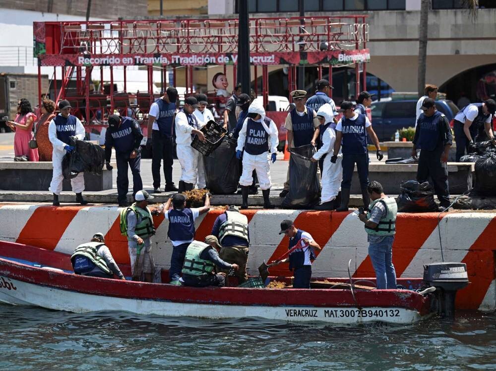 Mexico Collects Nearly 900 Tons of Pollutants After Oil Spill