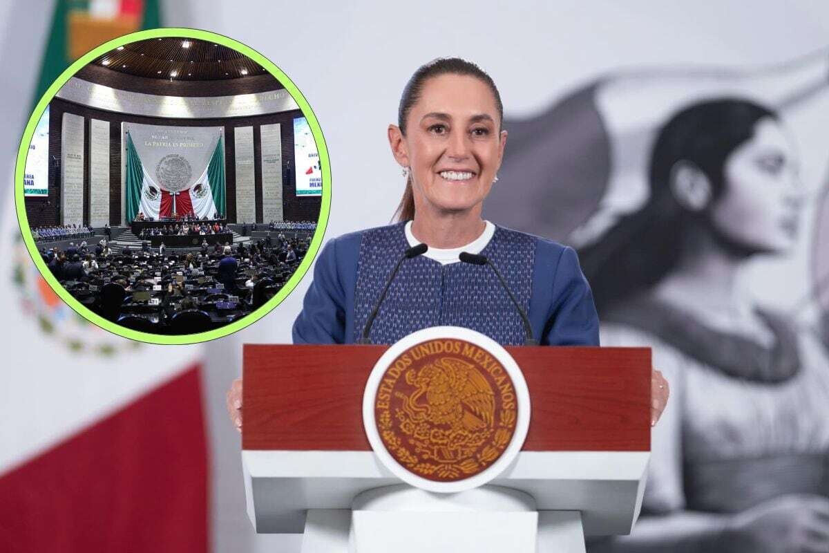 辛鲍姆支持削减公职人员特权的改革