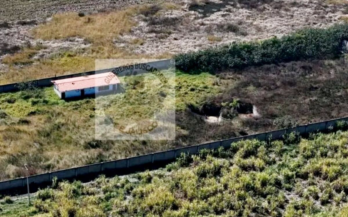 Abandoned Ranch in Jalisco: Collective Accuses Authorities of Inaction