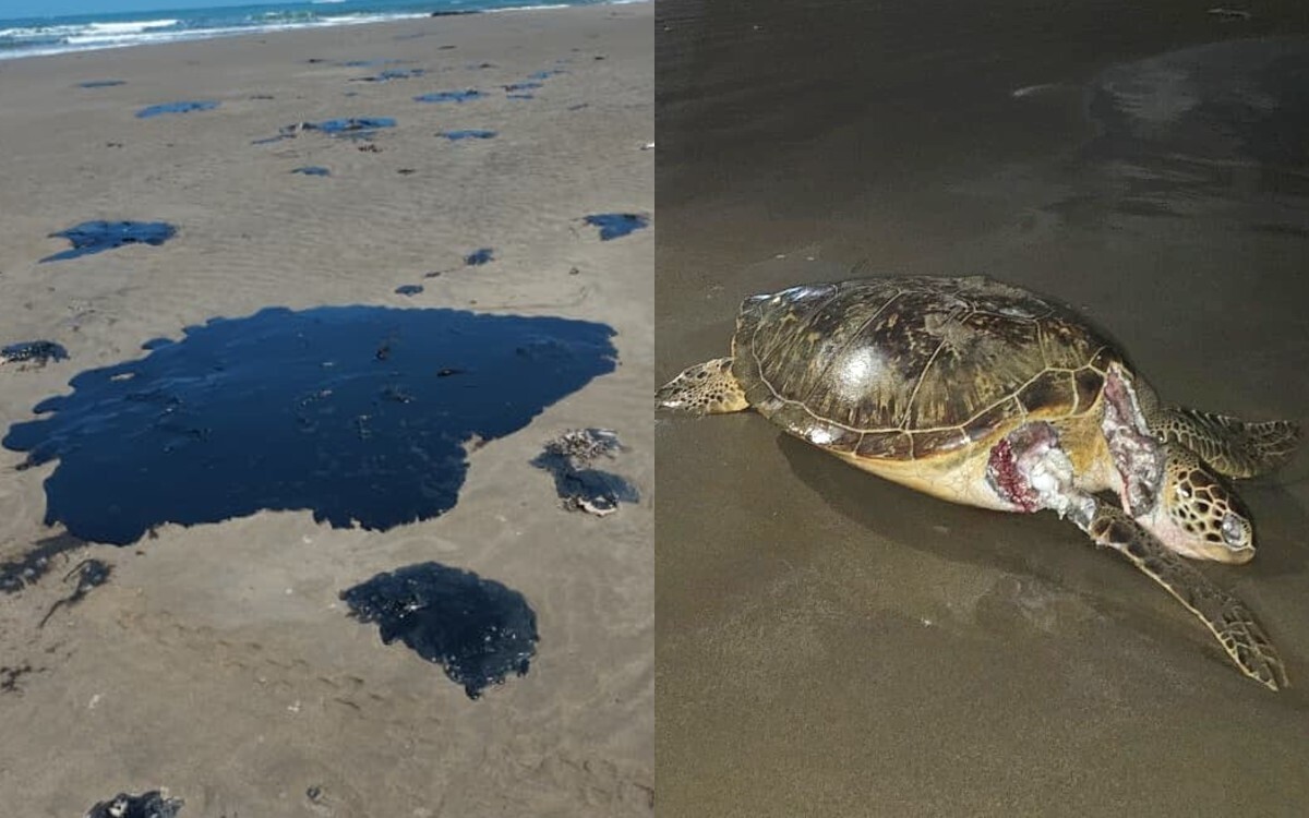 Коренные народы Мексики сообщают о новом разливе нефти