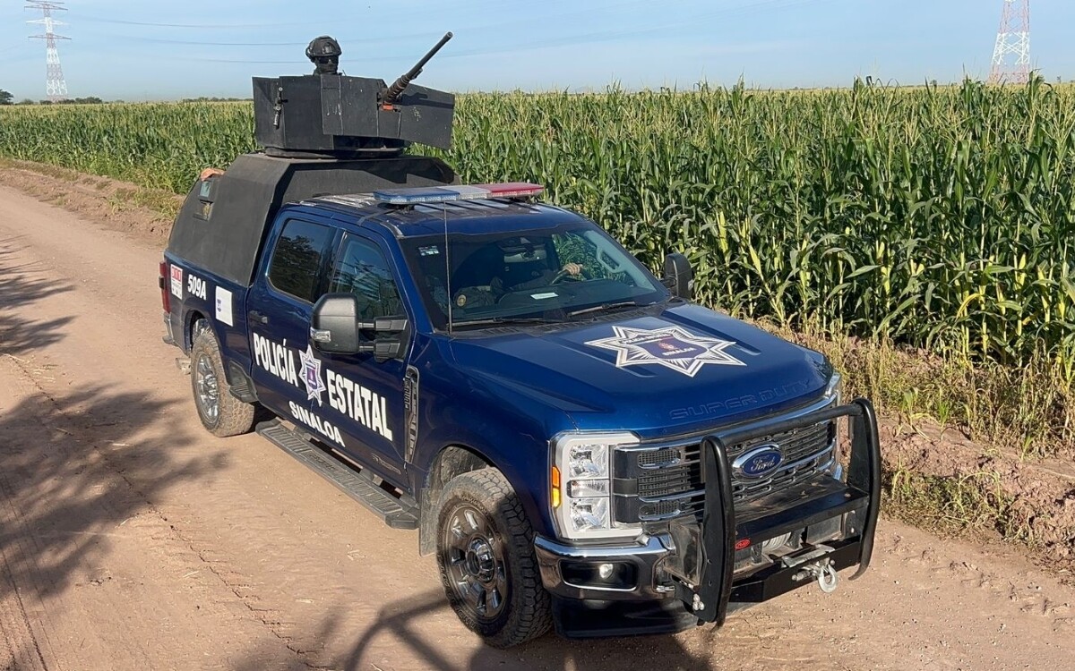 马萨特兰六名被绑架游客中两人获救