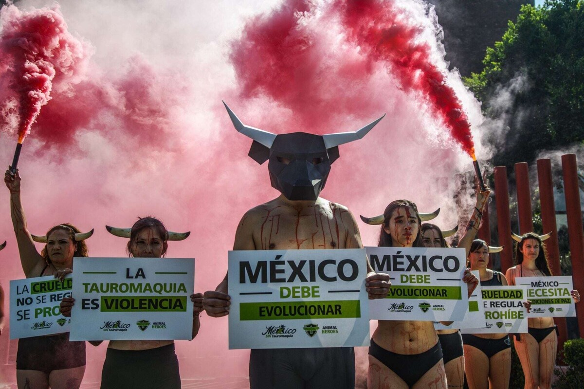 Protests Against Bullfighting Ban in Mexico City