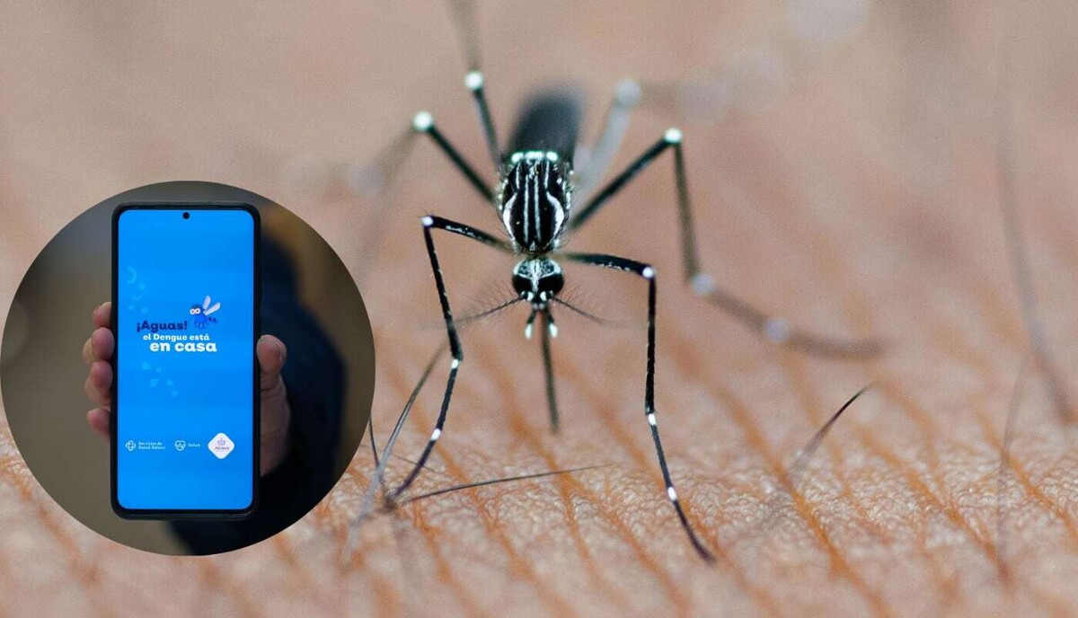 Jalisco lanza aplicación para combatir el dengue