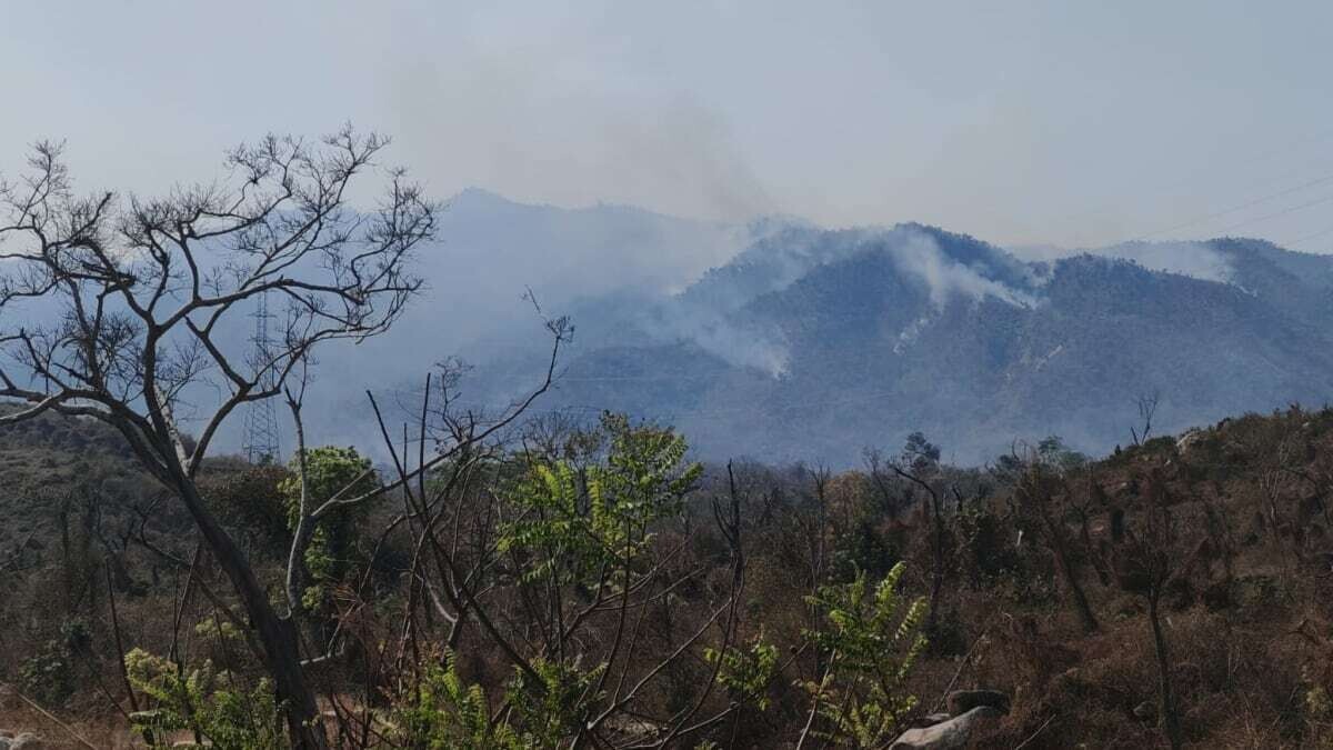 Лесной пожар в национальном парке Эль-Велadero