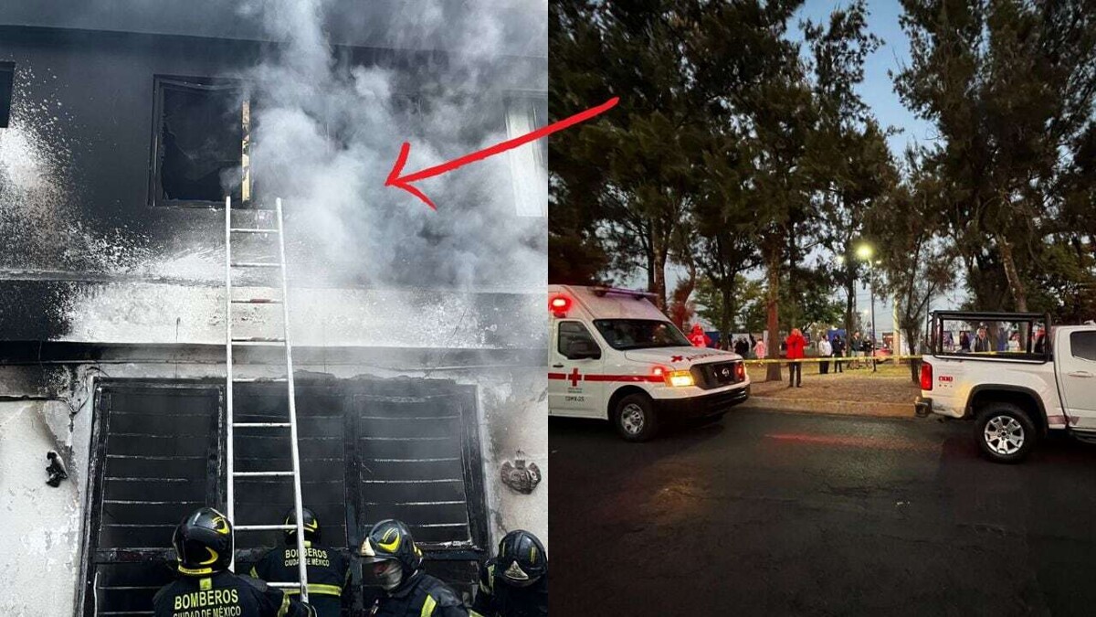 Fire in Mexico City Kills Three Dogs