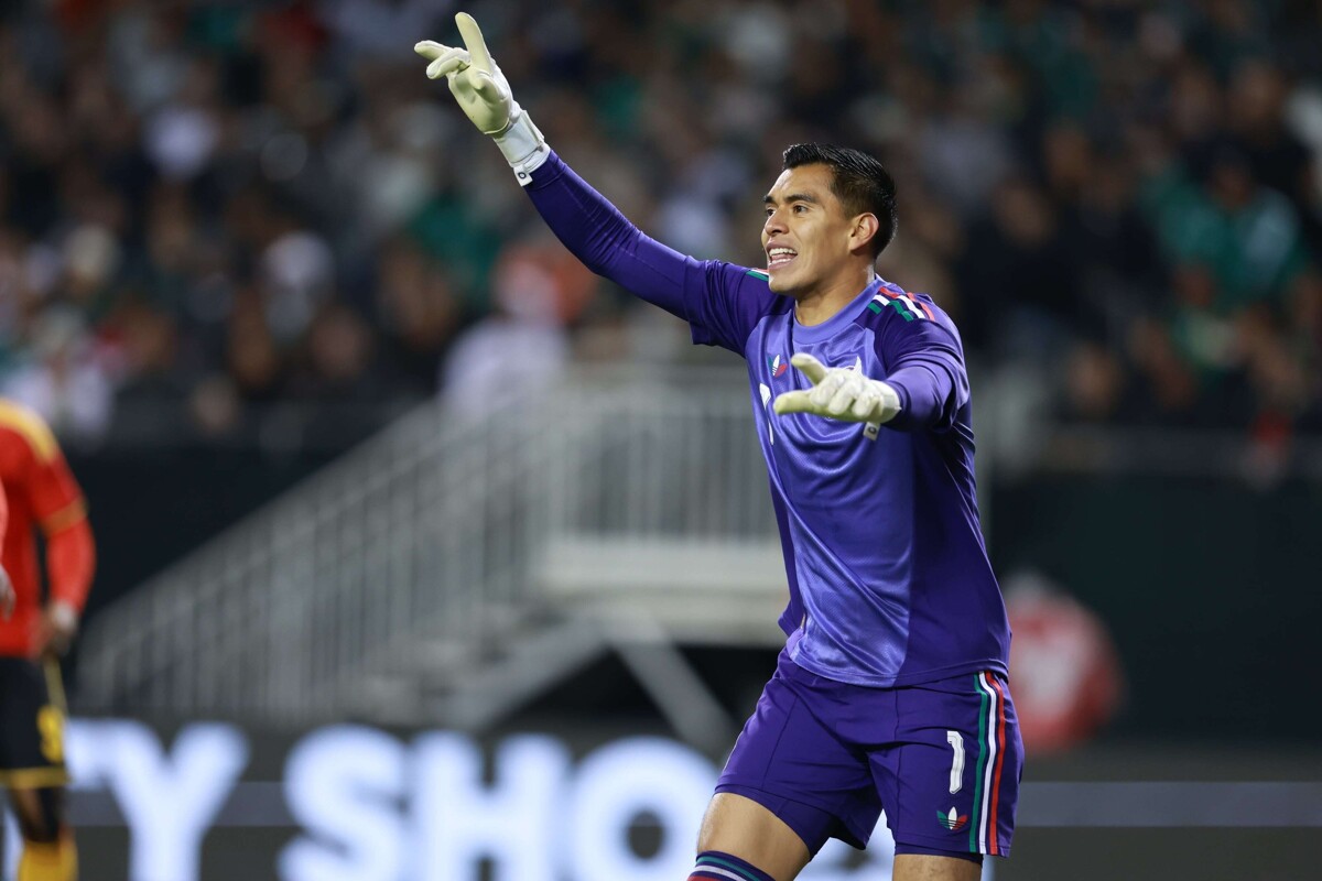 塔拉·兰格尔：世界杯后的欧洲机会