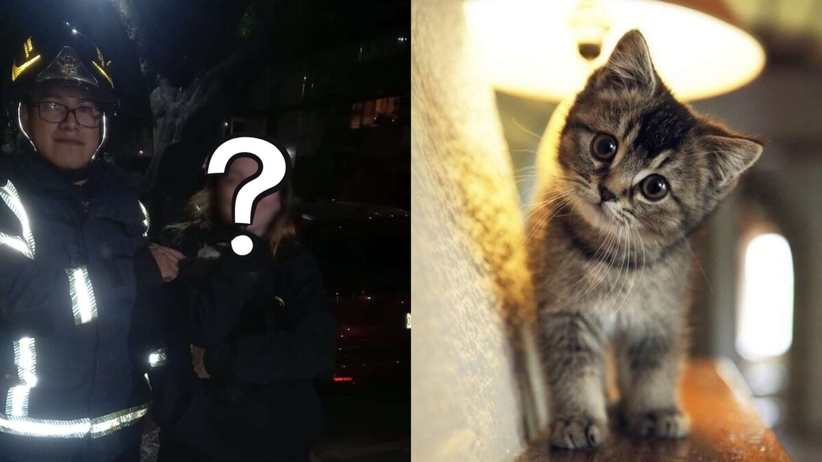 CDMX Firefighters Rescue Actress Regina Blandón's Cat