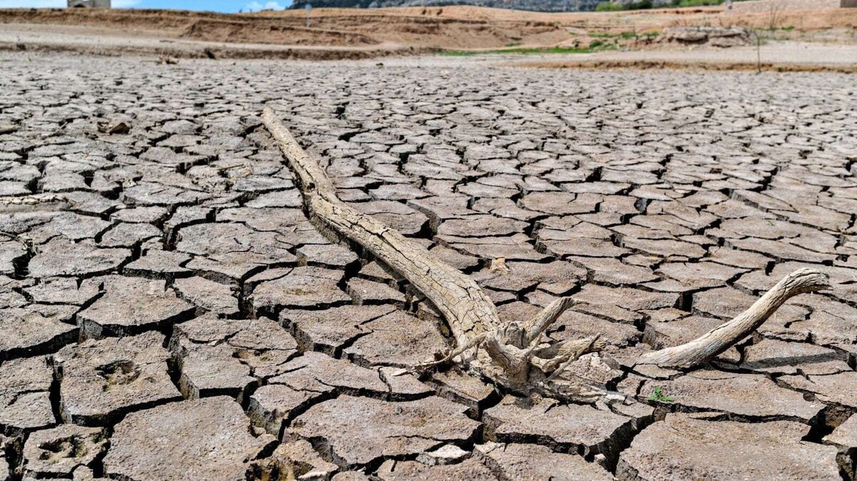 Drought Emergency in Querétaro