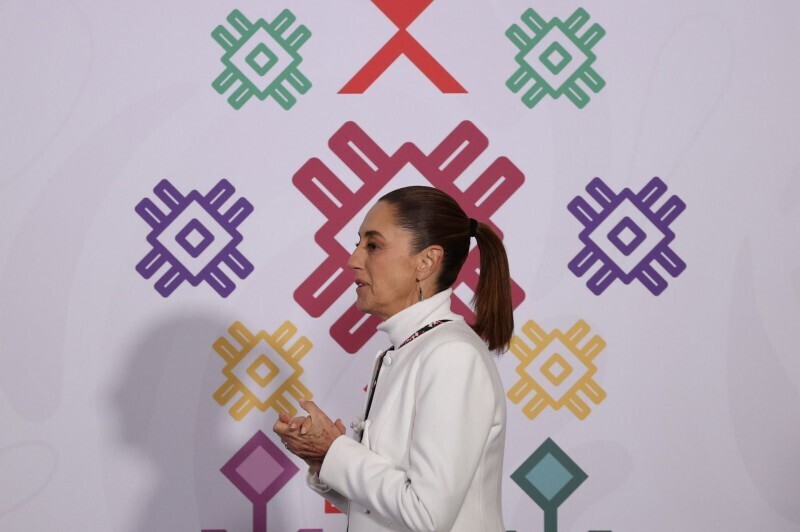 Шейнбаум продвигает избирательную реформу