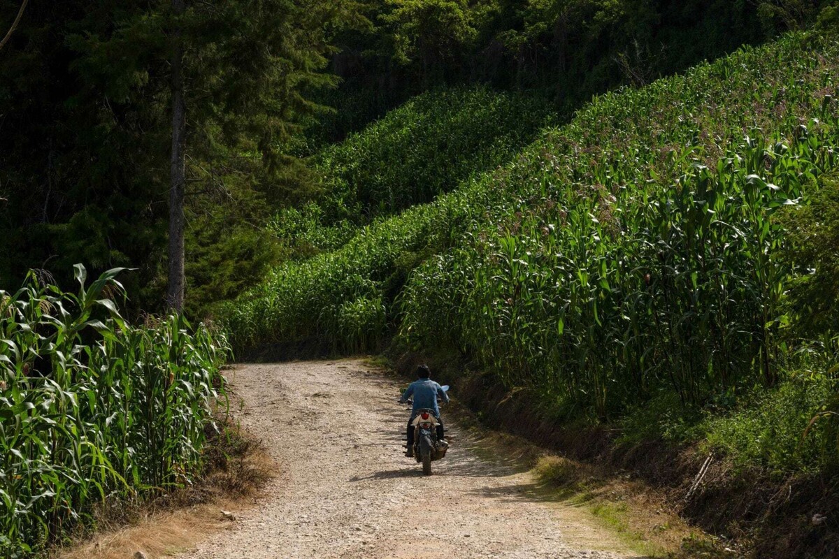 Conflicts and Threat to Food Security in Latin America