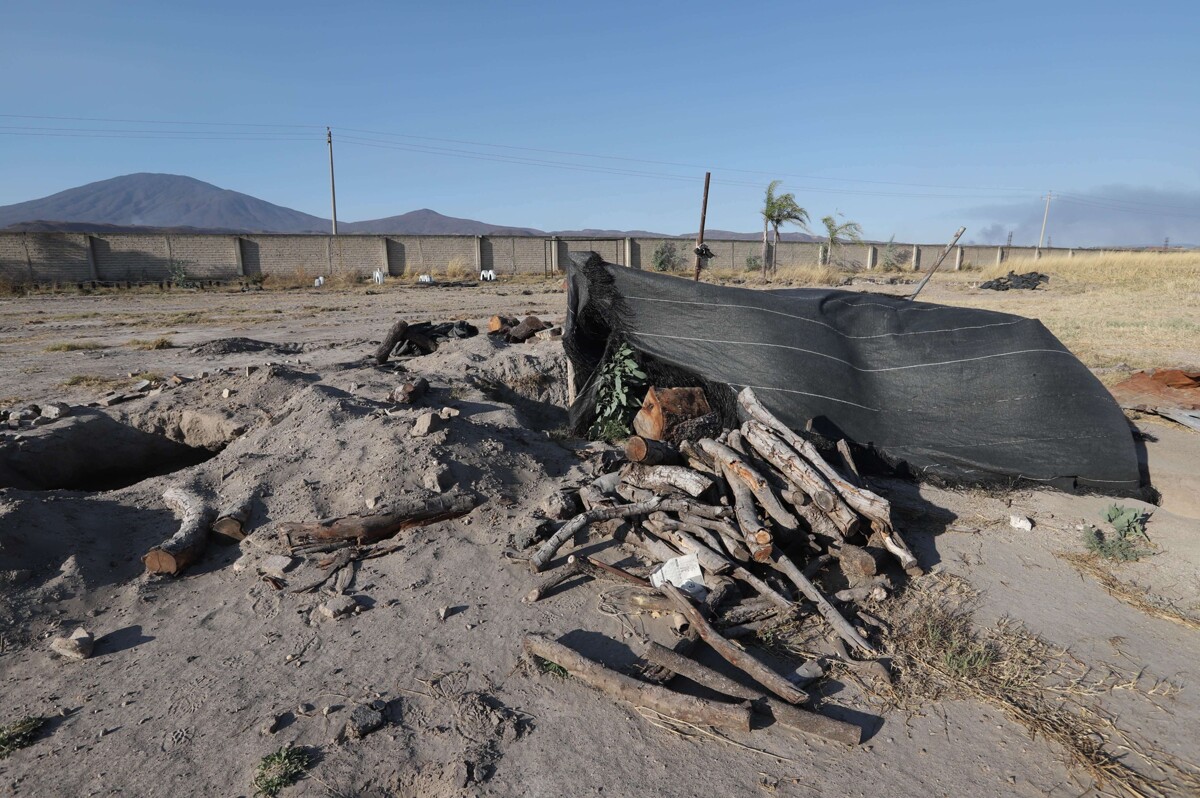 Humanitarian Crisis in Teuchitlán: Extermination in Mexico