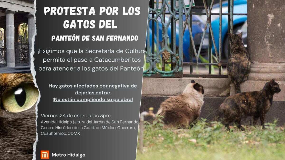 Protest Against Animal Neglect at San Fernando Cemetery