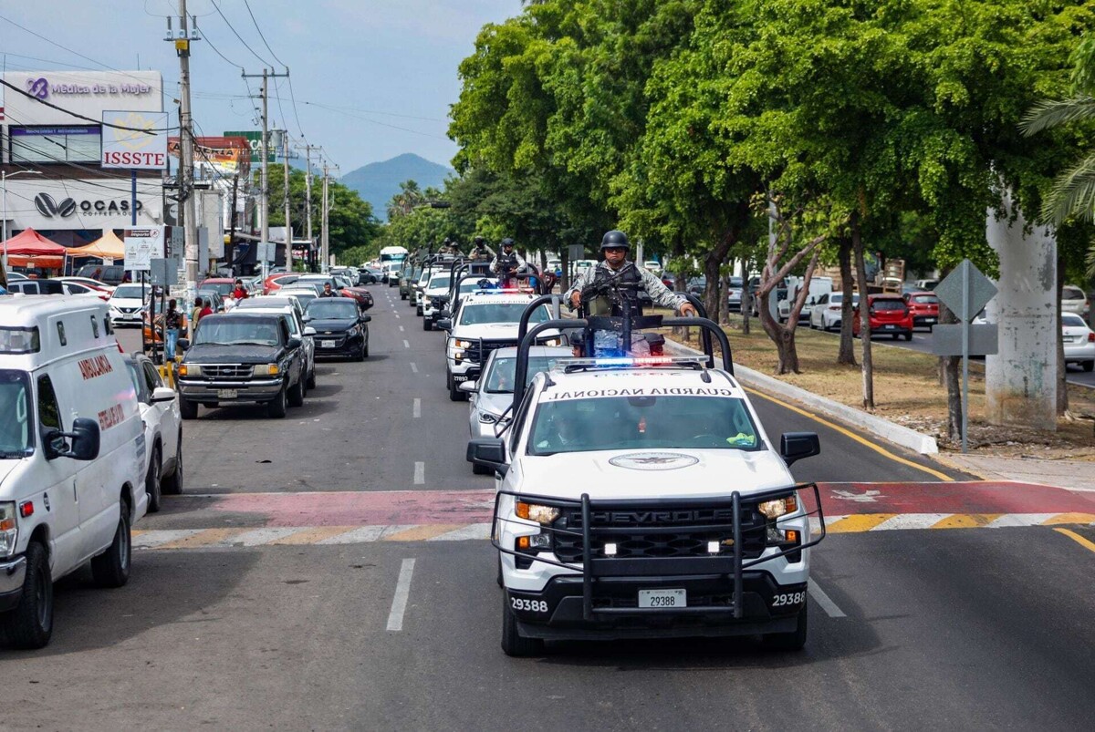 Security Crisis in Guanajuato and Government Strategies