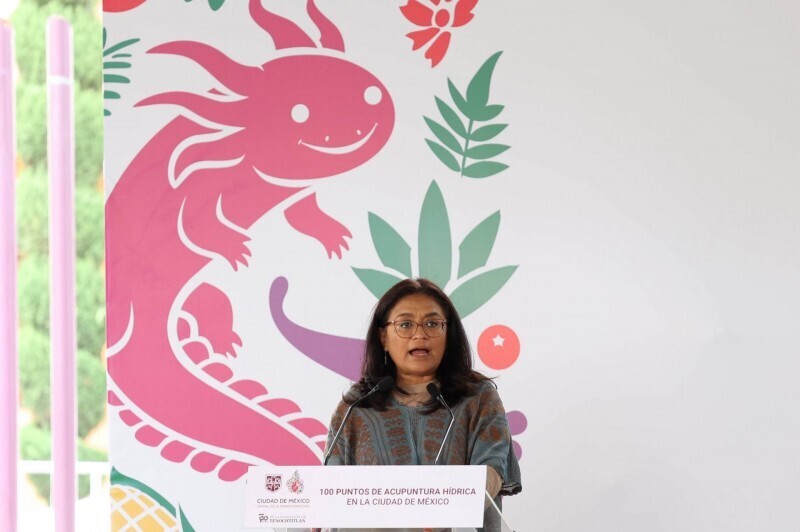 Внутренние разногласия в партии Морена из-за мэра Истапалапы