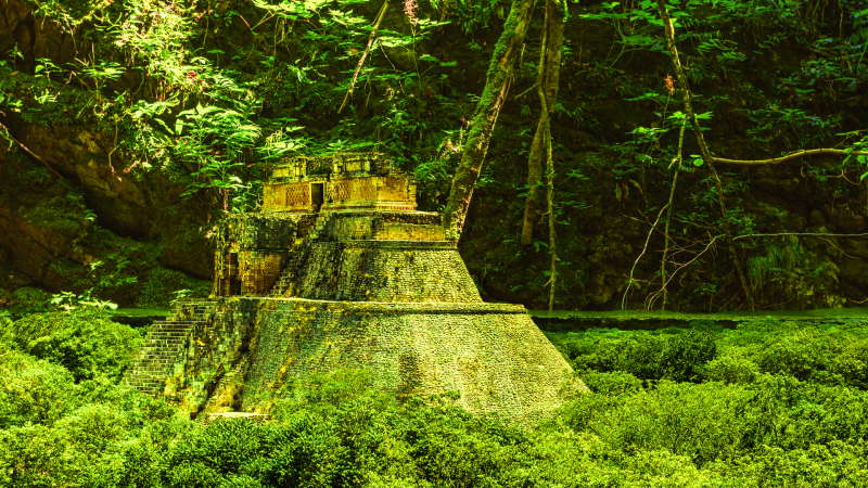 Ancient Maya City Discovered in Mexican Jungle